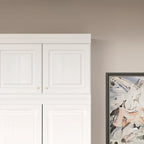 Closet Organizatin Armoires Wardrobes Hanging 4 Drawers Large Storage