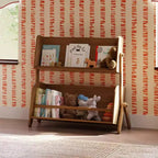 Storage and Bookshelf