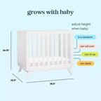 daVinci Otto 3-in-1 Convertible Mini Crib with 4 Mattress