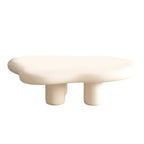 48.5 Modern Cloud Shape 4 Legs Coffee Table