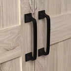 2 Door Storage Cabinet - Sauder