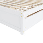 Full Bed With Twin Size Trundle And Two Drawers