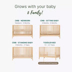 3-in-1 Convertible Crib, Solid Beechwood, GREENGUARD Gold Certified, Made in Italy