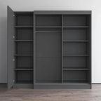 2-Door Wardrobe with Mirror, Glass Front, 2-Person (Gray / Black / White)