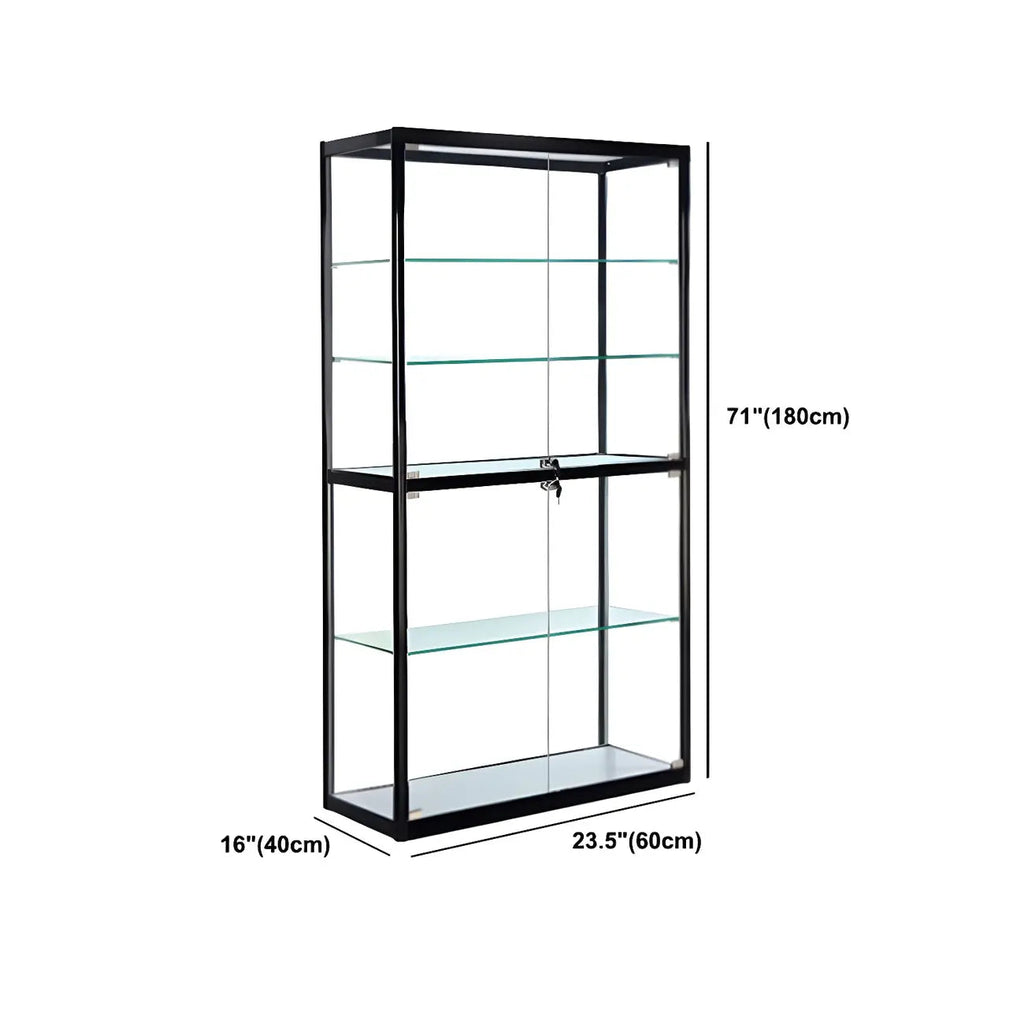 Contemporary Rectangular Black Glass Curio Cabinet