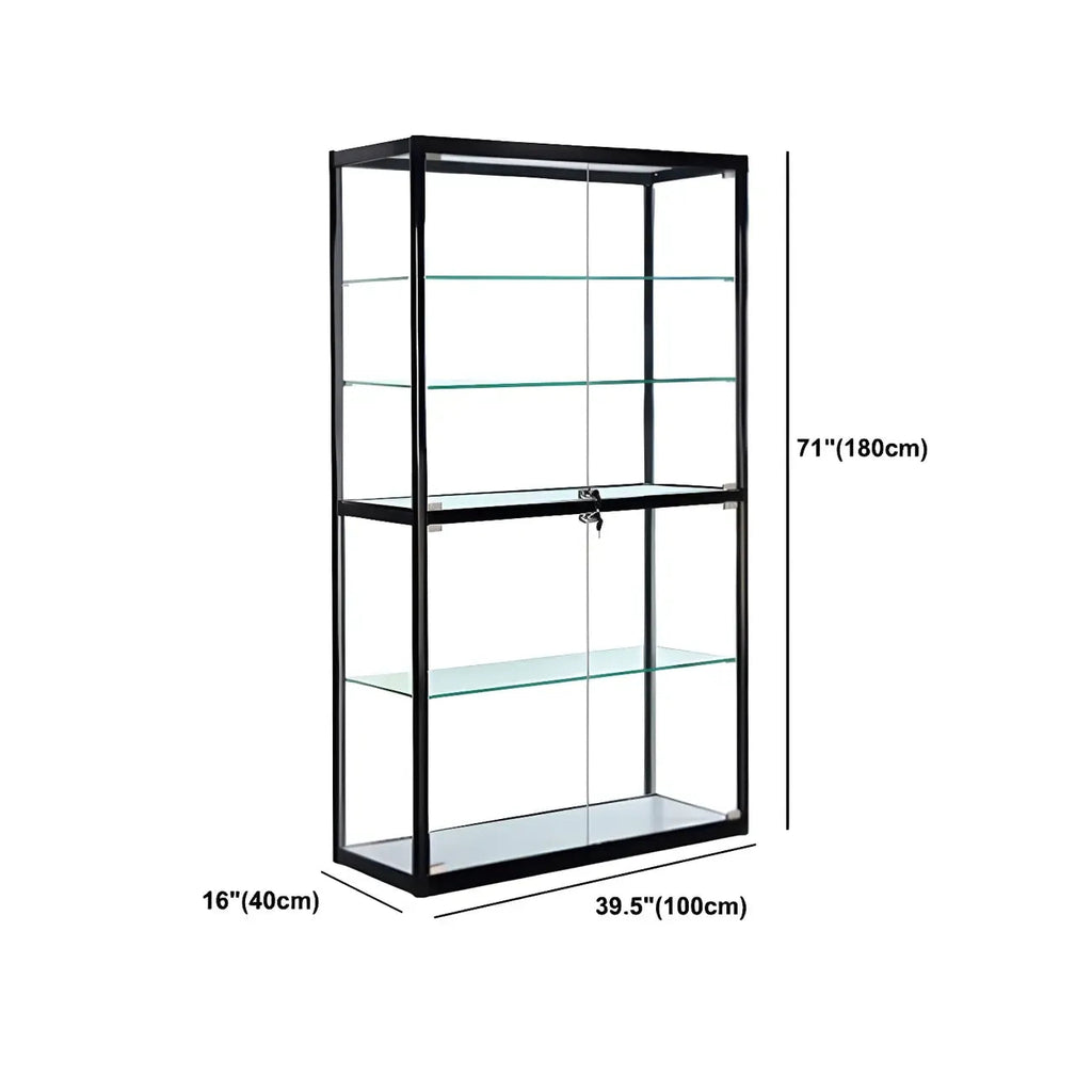 Contemporary Rectangular Black Glass Curio Cabinet