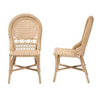 bali & pari Jelita Modern Bohemian Natural Brown Rattan 2-Piece Dining Chair Set