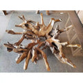 Teak Wood Root Coffee Table Including 55 inch Square Glass Top